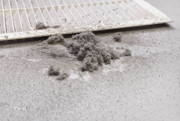 Best HVAC Duct Inspection Services  in Carver, MN