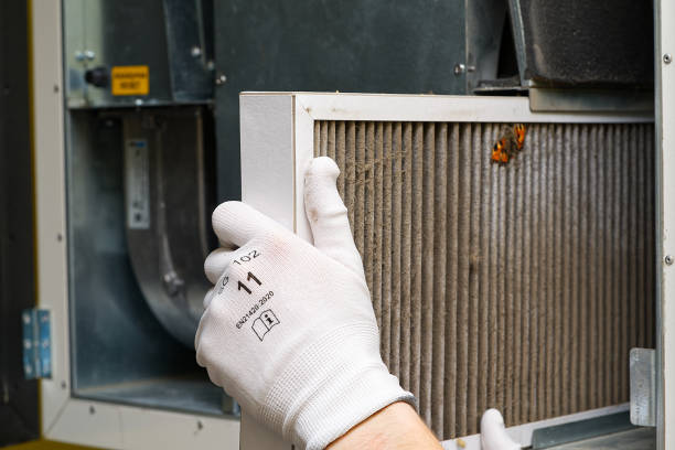Best Air Duct Sanitizing Services  in Carver, MN
