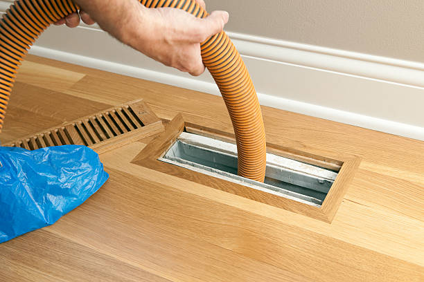 Best Dryer Vent Cleaning Services  in Carver, MN