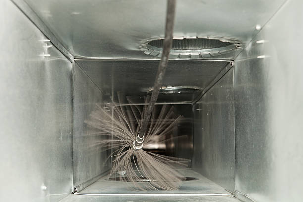 Best Professional Duct Cleaning Services  in Carver, MN