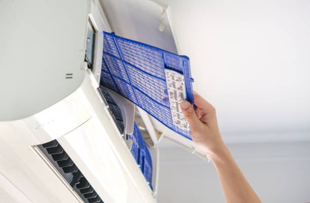 Best Air Vent Cleaning Services  in Carver, MN