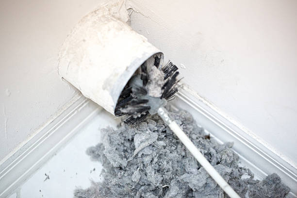 Best Affordable Air Duct Cleaning  in Carver, MN